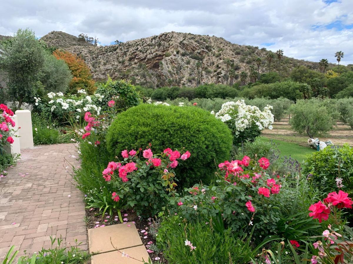 Montagu Vines Guesthouse Exterior foto